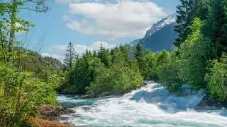 Devocional - Avivamiento: Timothy Keller (Salmo 80:14-19) - Julio 16.