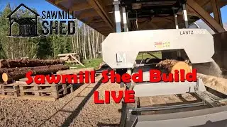 LIVE: Cutting Boards for Sawmill Shed Roof 🚜 | Farm Barn