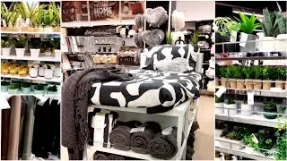 Primark HOME 🖤💚🤎🤍 new theme  collection  September 2022