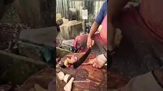 KASIMEDU SPEEDSELVAM BIG SHARK FISH CUTTING VIDEO #kasimeduselvam
