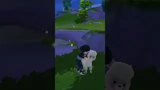 Alpaca Feeding Location on Heartopia