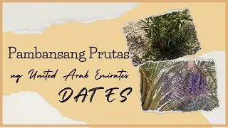 EP30-PAMBANSANG PRUTAS NG UNITED ARAB EMIRATES (DATES)/SHARJAH U.A.E