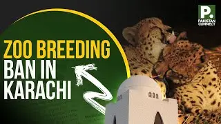 Zoo Breeding Ban Karachi | Karachi  | Faisal Rehman | Pakistan Connect