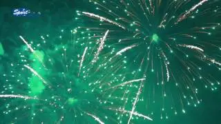 Das Feuerwerk im Westfalenpark !
