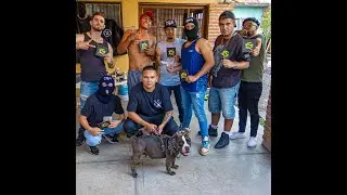 Maleante X Freddy &Aacute;lvarez