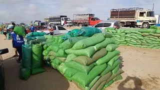 FEIRA DAS RAÇÃO E PORTEIRAS DE CAPOEIRAS PERNAMBUCO 30 de janeiro de 2026