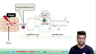 MECHANISM OF ACTION OF NSAIDS | PHARMACOLOGY