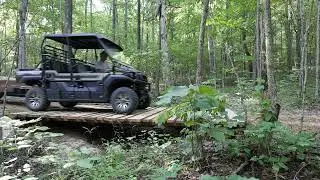 Deep In The Woods The Bridge And The Mule