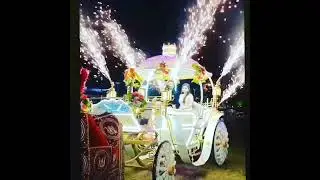ja bhagvan jii Ghodi baggi wala balgarh weeding luxury A1 quality horse baggi prop sunny Bhatia