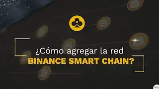Tutorial &iquest;C&oacute;mo agregar la red Binance Smart Chain? - BETCOIN
