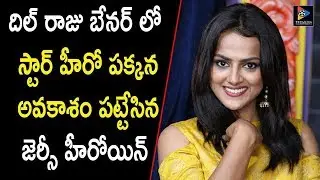 Jersey Movie Heroine Get Offers In Dil Raju Banner With Star Hero | Latest Updates | TFC Film News