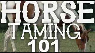 Horse Taming 101 - Minecraft 1.6