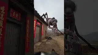 蜘蛛老奶来啦！吓麻了！ #grandma #搞笑 #funny #horror#horrorstories #grandma