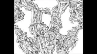 Nature : Horizontal membrane-intrinsic &alpha;-helices in the stator a-subunit of an F-type ATP synthase