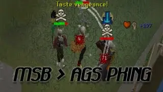 THESE HITS ARE UNREAL! - MSB To AGS Pking - Oldschool Runescape 2007