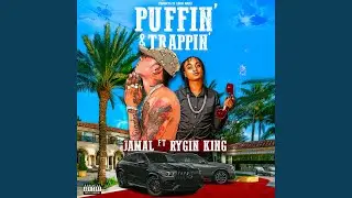 Puffin N Trappin