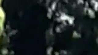 film for apricus version 3