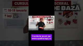 Visceral massage course in Iași!