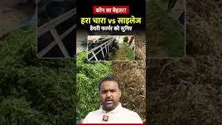 Which is better #silage or #greenfodder learn from this #dairyfarmer