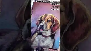 ビーグル、見つめる。アート、創る。 / Beagle, Gaze. Art, Create. #pastel #dog #beagle #artshorts #paint #illust #draw