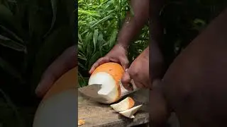 Fresh coconut water and amazing cuts 🌴| #CoconutWater #CoconutSkill #CoconutVillage #FreshCoconut