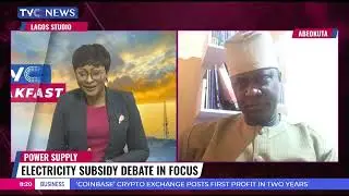 Electricity Subsidy: Prof. Yemi Oke Shares Exclusive Insights