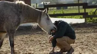 horse coaching - &eacute;qui-coaching - coaching par le cheval