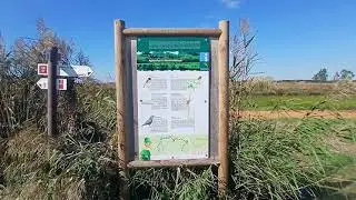 Estarreja PR3: Percurso do Bocage 3.6Km