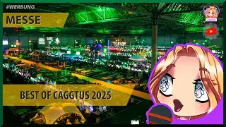 Best of Caggtus 2025