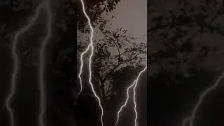 Thunderstorm: Nature's Roar