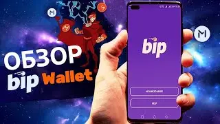 Обзор BIP Wallet (Minter)