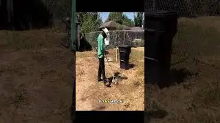 #lawnmower #mowing #mowingthelawn #cleaning #story