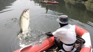 【バス釣り】カットテールワームにデカバスが・・・！！【タイニークラッシュ】