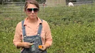 B.U.G. Farms Backyard Urban Gardening