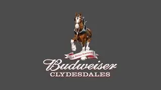 Budweiser Clydesdales in the Cincinnati Reds Opening Day parade