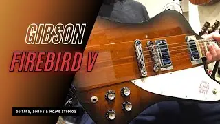 Gibson Firebird V (1995) - Guitars, Songs & Home Studios #24