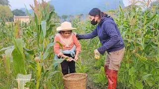 The difficult life of a disabled girl: Toai goes everywhere to buy vegetables to sell