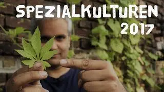 Spezialkulturen 2017 - 6 Nutzpflanzen vorgestellt
