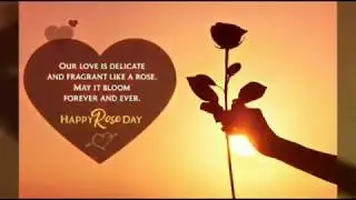 🌹7 Feb Rose Day WhatsApp Status 2020 | Latest Rose Day Status Video | Valentine Special Video |
