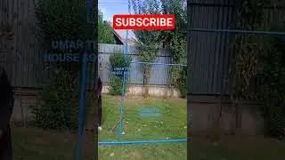UMAR TENT HOUSE SOGAM #ringtone #love #sad #kashmir #song #wedding #funny