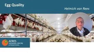 PoultryTechBangladesh - Online Master farmer training 06 - Egg Quality