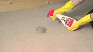 Urine Eliminator