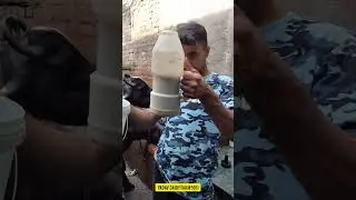 दुर्गा 💗. #trendingshorts #shortvideo #dairy #dairyfarm #veterinarypharmacist #viralvideo #ytshorts