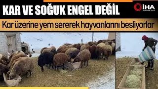 Besiciler, Yoğun Kar Altında Hayvanlarını Besliyor