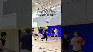 The AI Crossover can never be patched