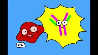 Health & PE Group Project: Vaccines & Immunity (2025)