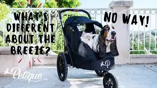 How to Remove the Fabric on Petique's Breeze Pet Jogger and MORE! For Dogs, Cats, and Small Animals!