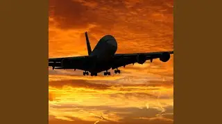 Fly Rich