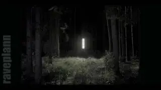 Dark forest LOA Shankra Festival 2017 Music Application