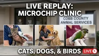 LIVE Replay: Pet Microchip Clinic at Cobb County Animal Services 🐶🐱🐦 | New Year&rsquo;s Safety